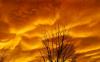 Wallpapers widescreen HQ - Fonds d ecran large HD - 0750